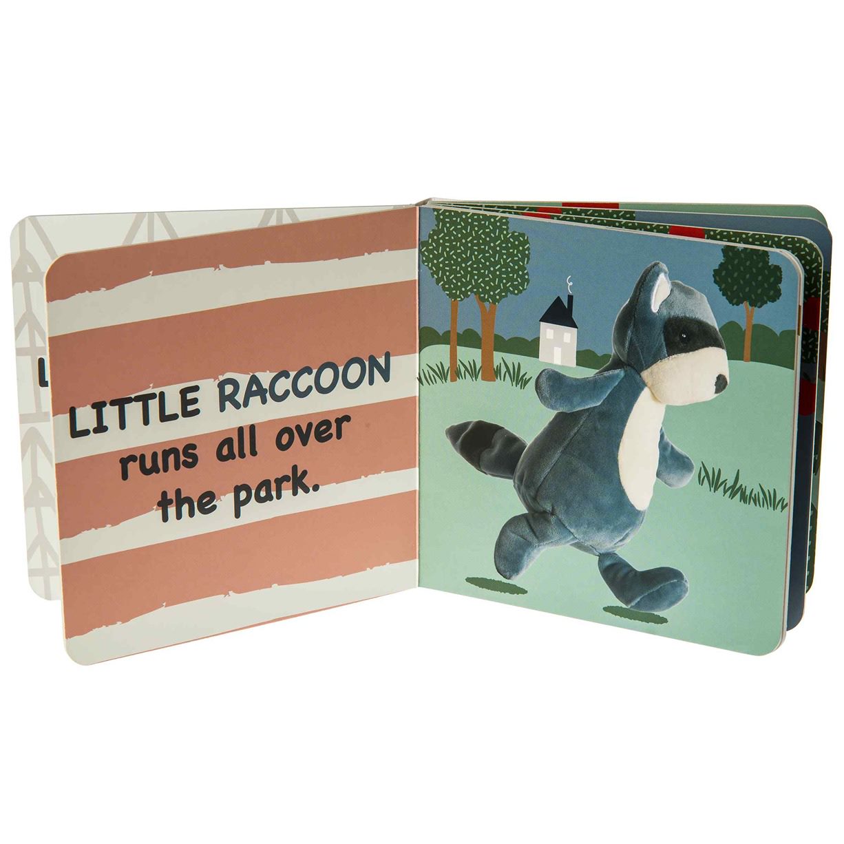 Leika - Little Raccoon libro
