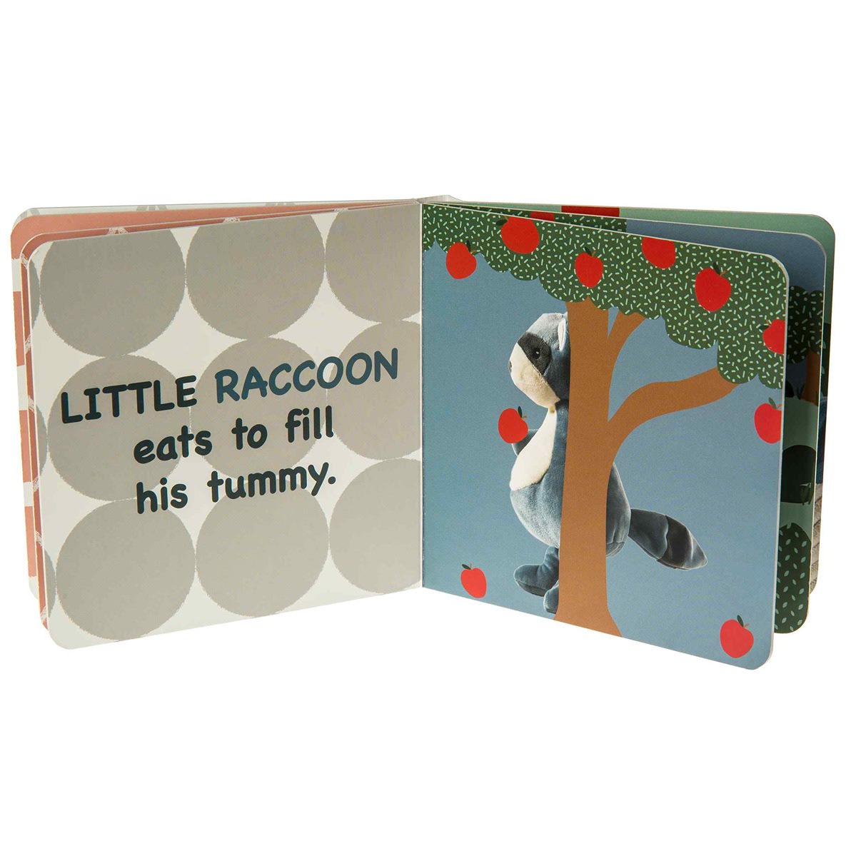 Leika - Little Raccoon libro