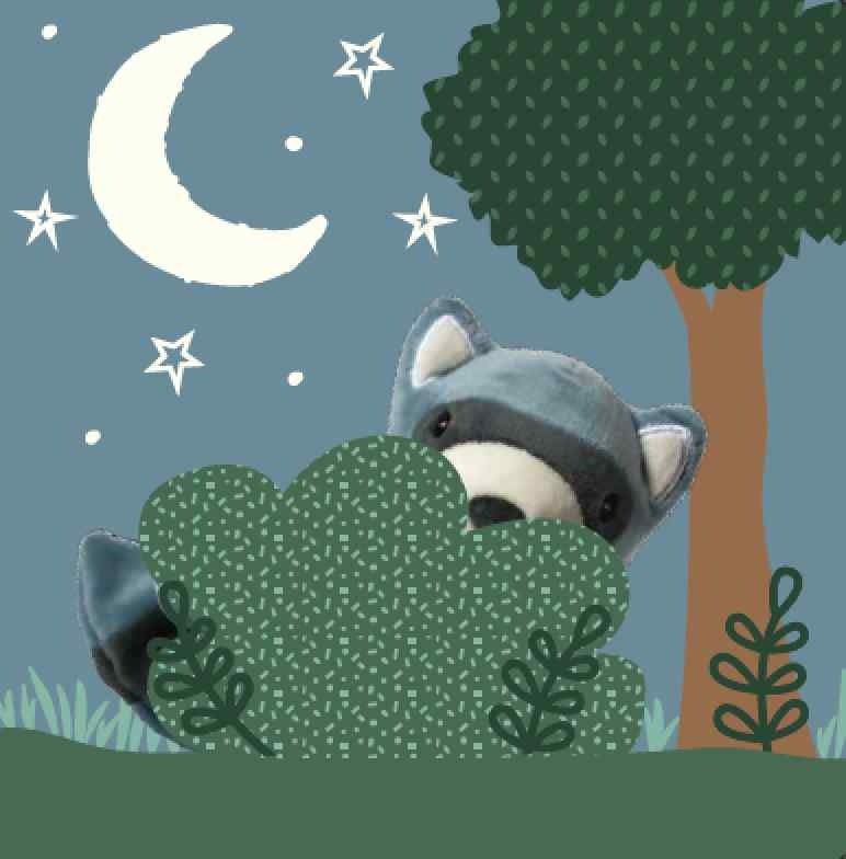 Leika - Little Raccoon libro