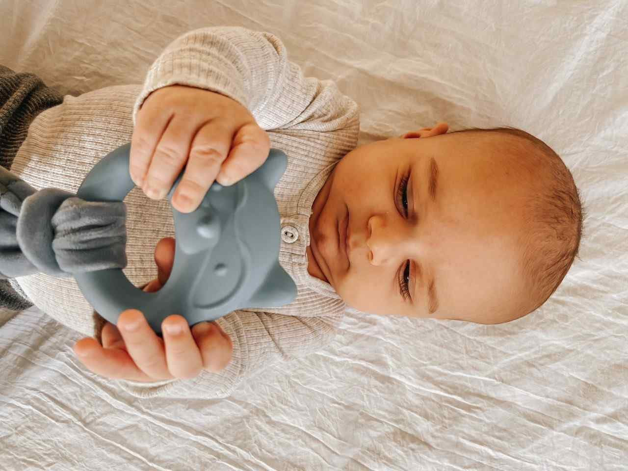 Leika - Little Raccoon Mordedor