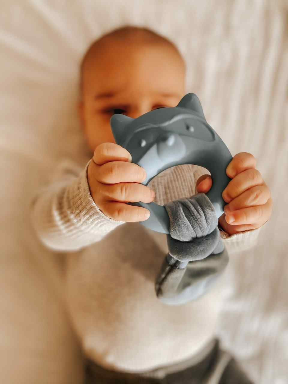 Leika - Little Raccoon Mordedor
