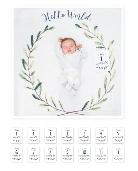 Lulujo First Year - Hello World